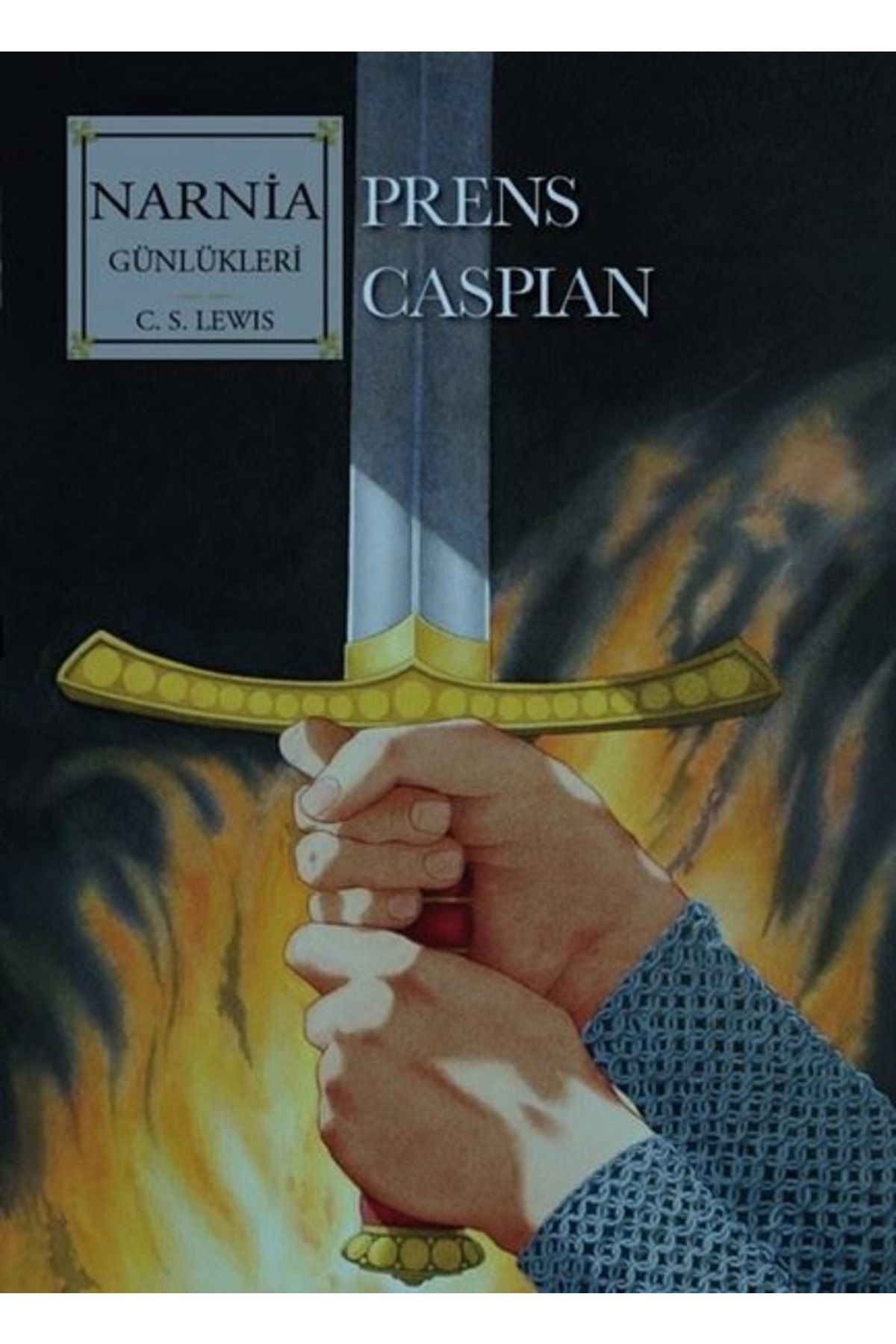 Doğan Çocuk Narnia Günlükleri Cilt 4 - Prens Caspian