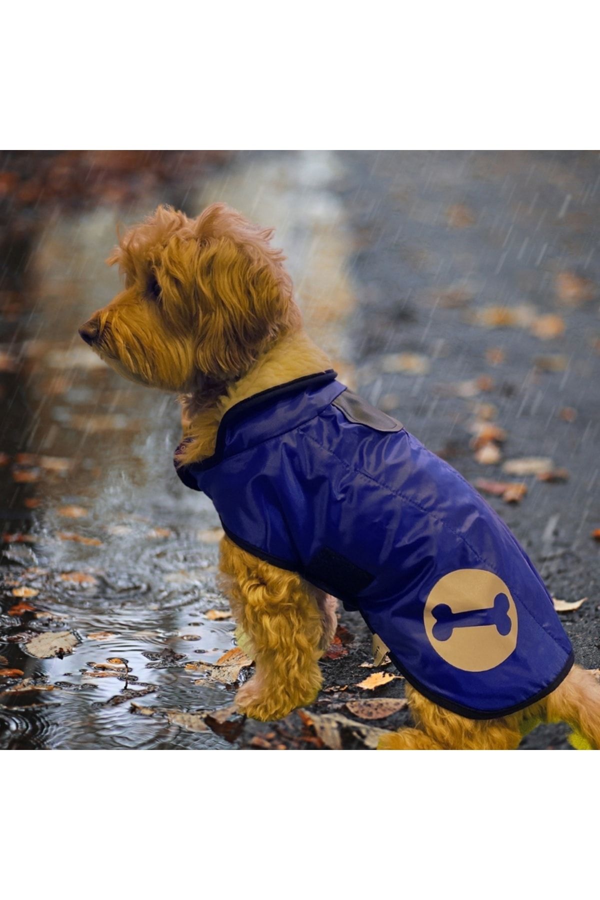 MİNİŞ PET BUTİK Pratik Giyim Reflektörlü Ince Küçük Köpek Yağmurluğu 4,5 Kg-14 Kg Arasına Uygun Sax