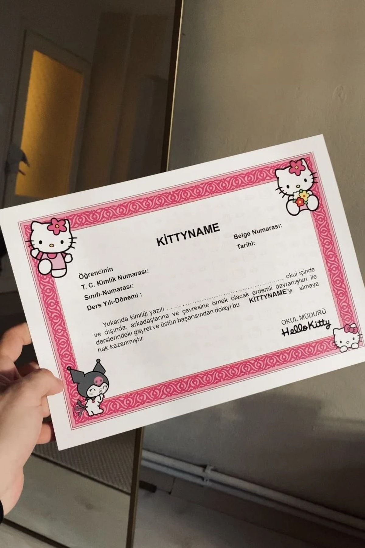 Namgo Kittyname Hello Kitty Takdir Belgesi A4 Boyutunda Kişiselleştirilebilir Helloname