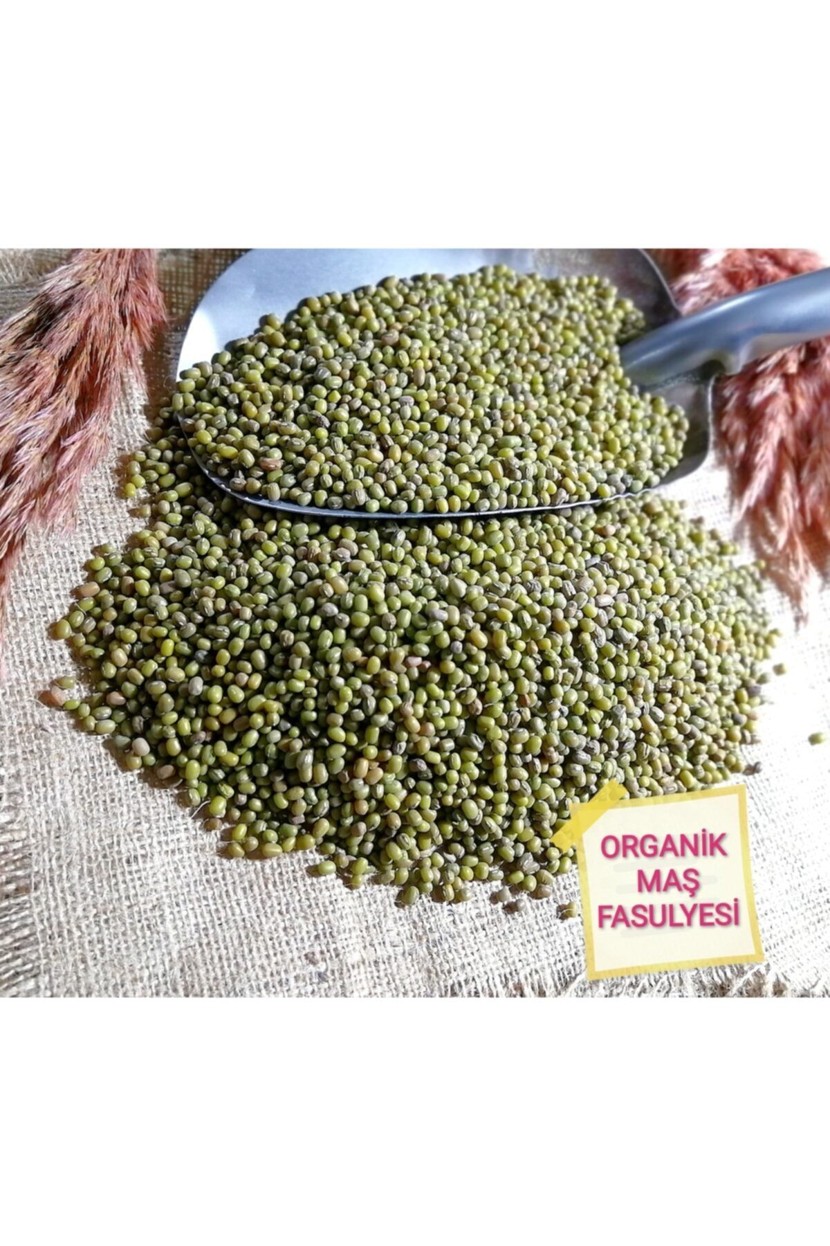temiz organik Organik Temiz Maş Fasulyesi (500 GR)