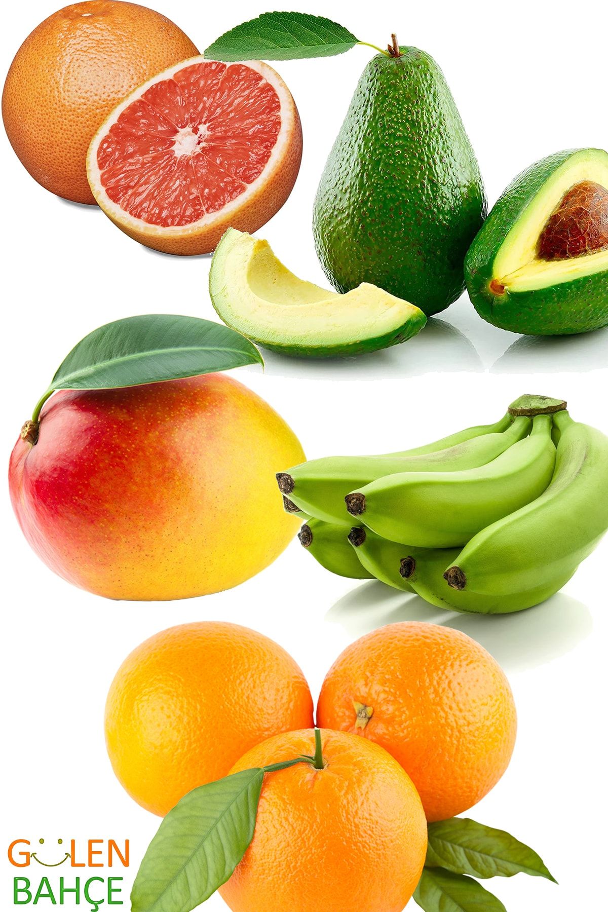 Gülen Bahçe Kilo Vermeye Yardımcı Meyve Paketi Muz Mango Avokado Portakal Greyfurt Paketi