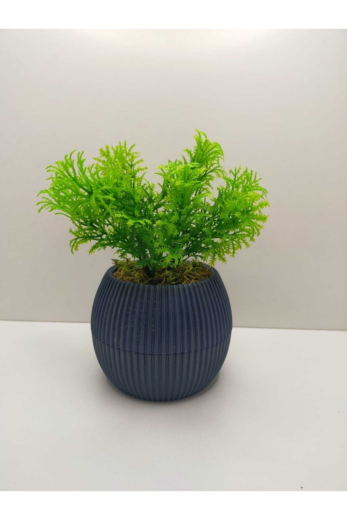 DDTREND Mini Mavi Saksıda Çim Yeşili Yapay Bitki Garnitür Taş Yosunlu Dekoratif Banyo Mutfak Masa Çiçeği