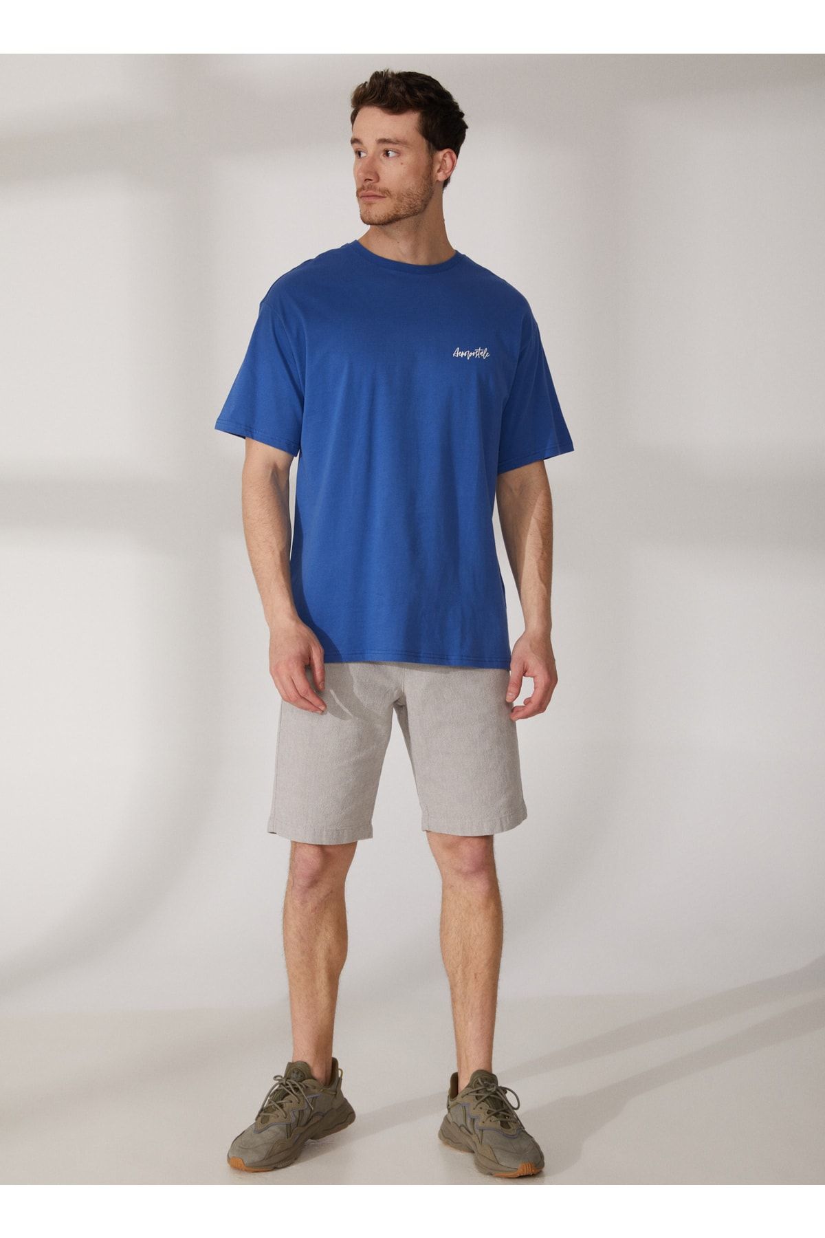 Aeropostale Bisiklet Yaka Baskılı Indigo Erkek T-shirt E-jony