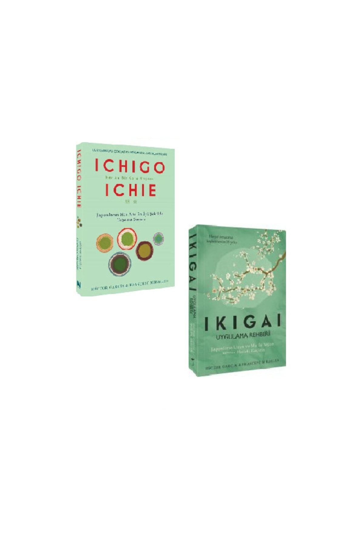 İndigo Kitap Ichigo Ichie + Ikigai 2 Kitap Set