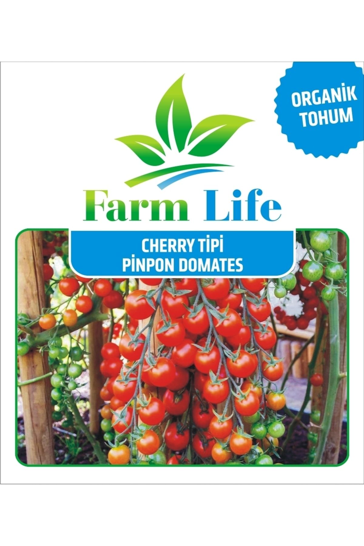 FarmLife Tohum 250 Adet Yediveren Cherry Pinpon Domates Tohumu