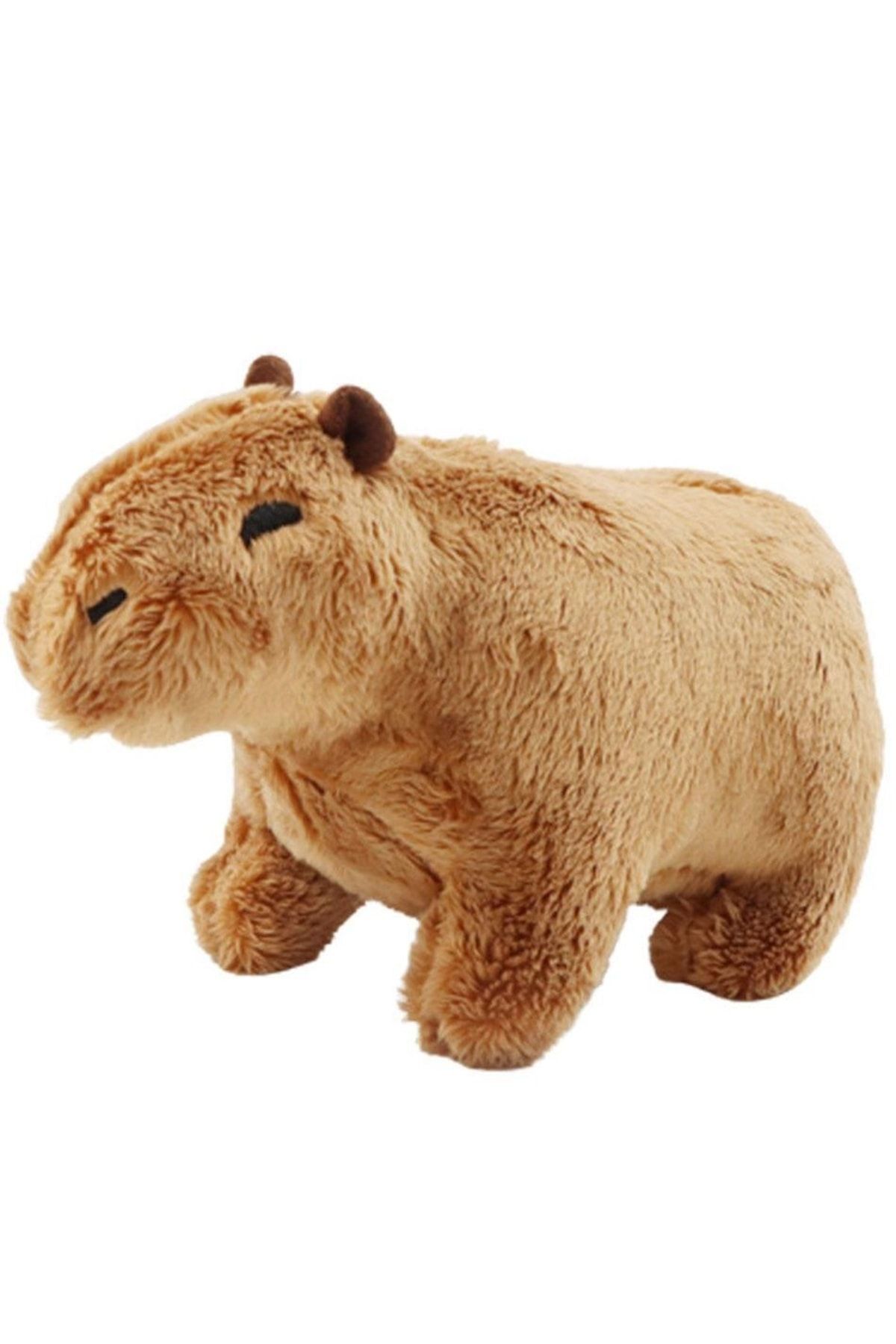 Schulzz Kapibara Capybara Ithal Oyuncak Peluş 20 Cm