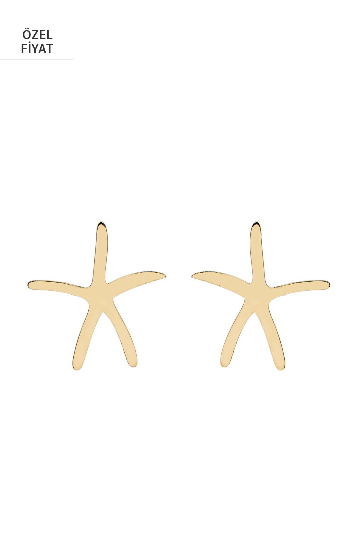 Atelier Petites Pierres Kadın Seastar Altın Kaplama Deniz Yıldızı Formlu Düz Küpe E00S000000033
