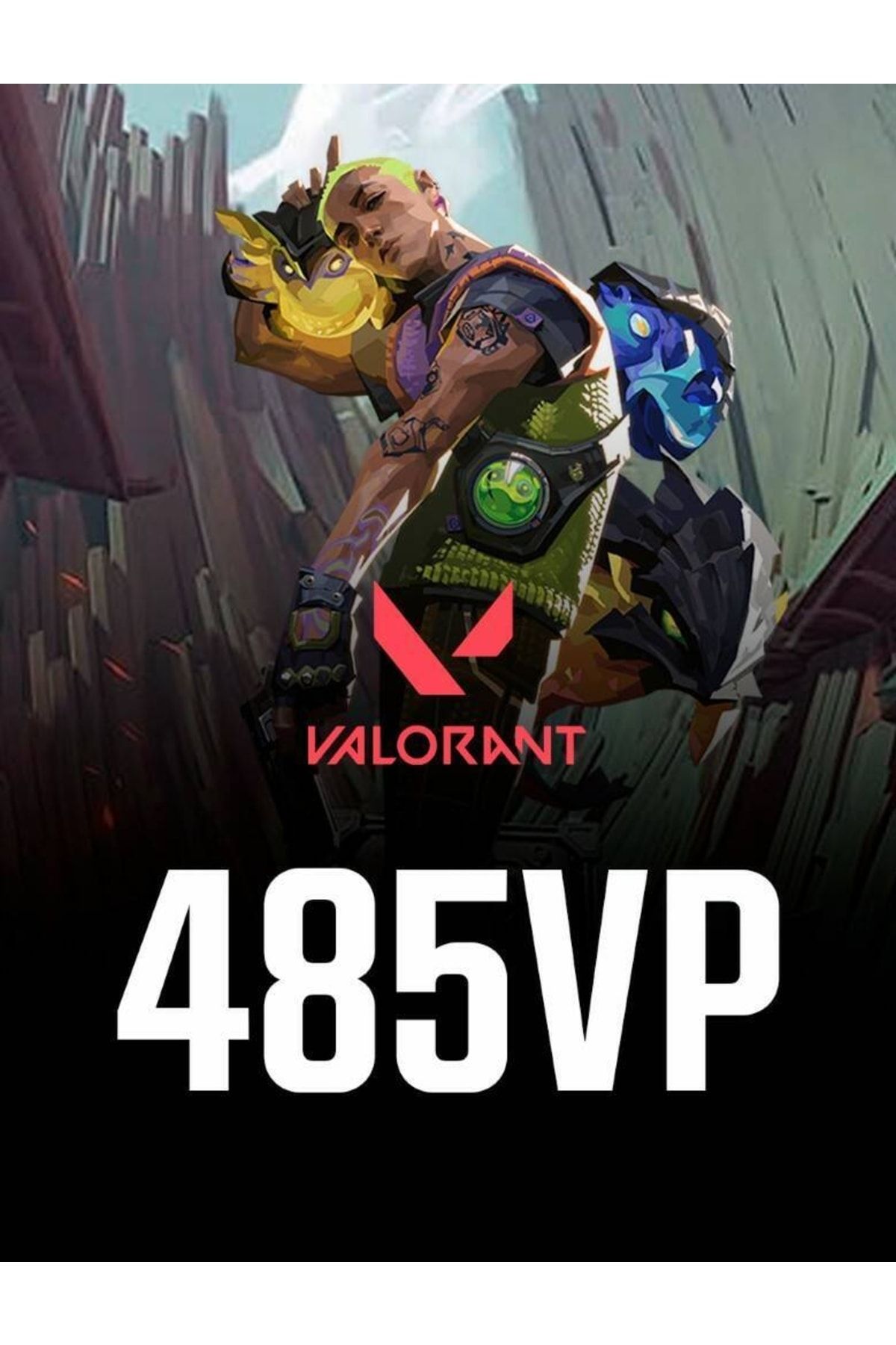 RAXGAME Valorant 485 Vp Points