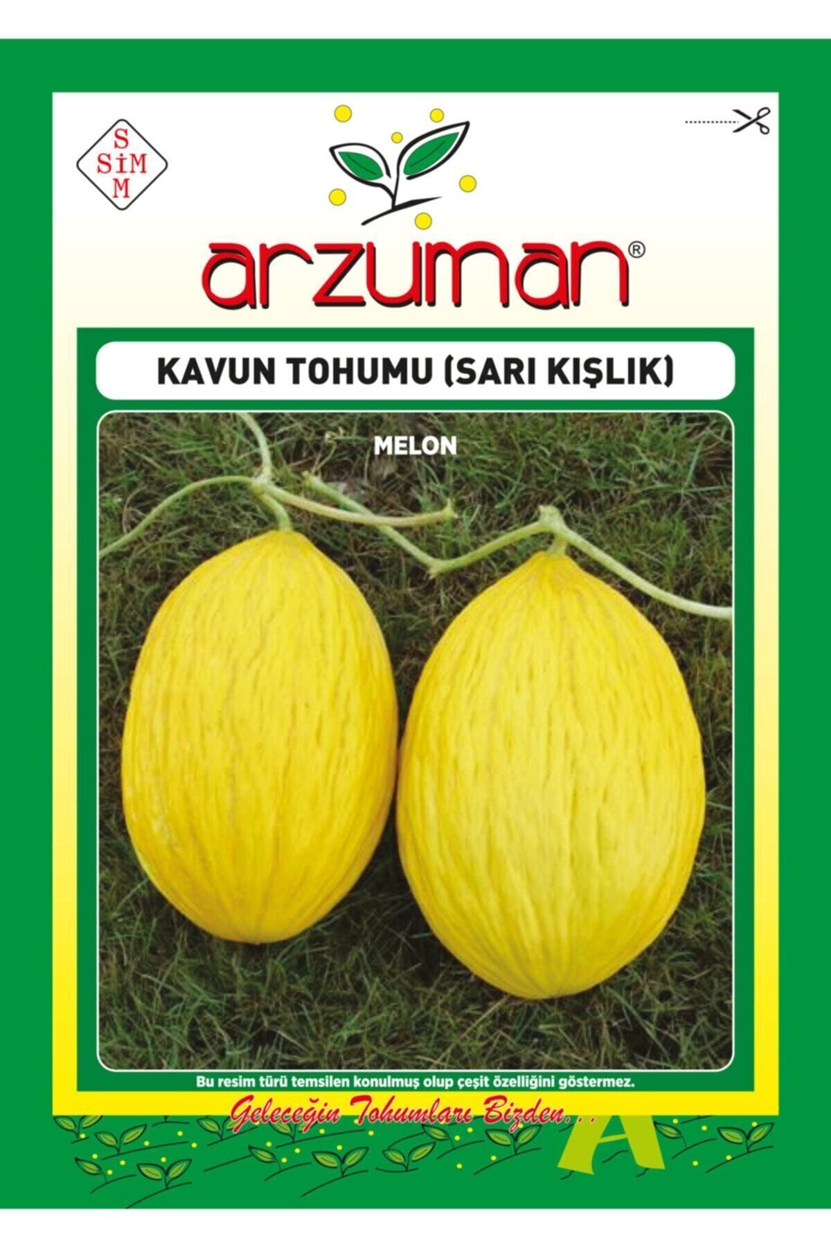 Arzuman Sarı Kışlık Kavun Tohumu 10 Gram
