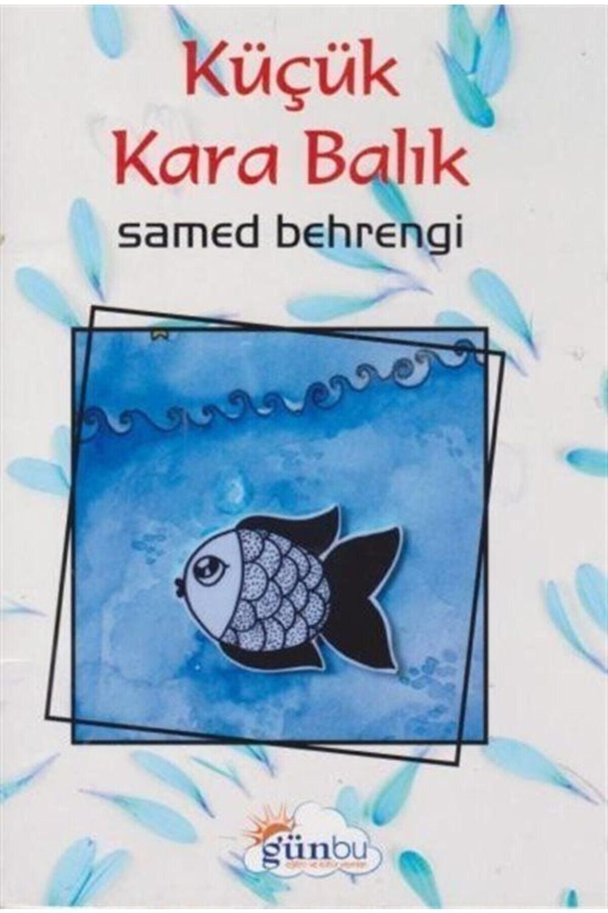 Günbu Eğitim ve Kültür Yayınları Küçük Kara Balık