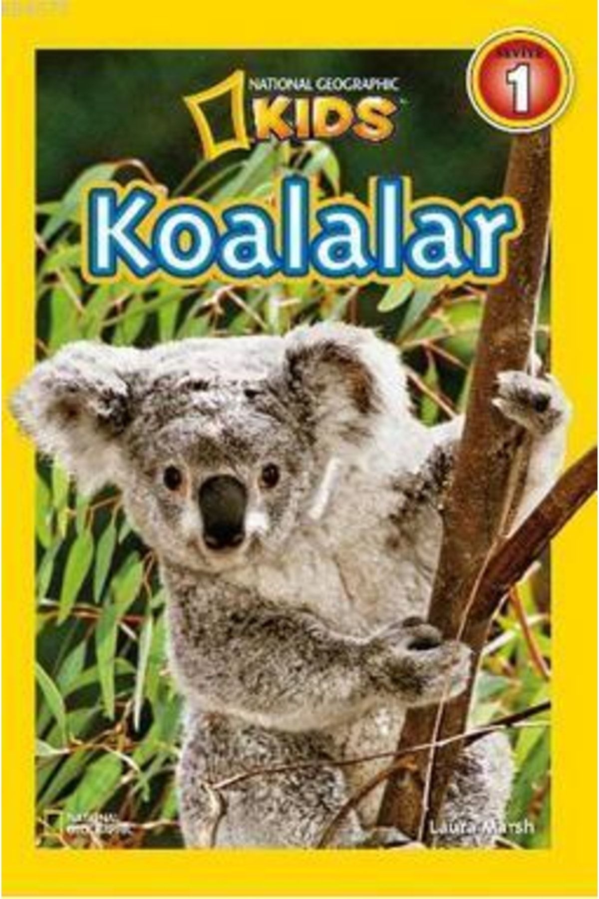 Kitapbulan İthal Kitap Koalalar-seviye 1