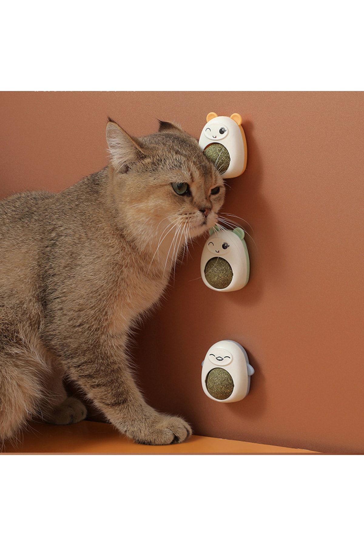 SAVORYHOME Plastik Kedi Catnip Oyuncaklar Top Kedi Şeker Yalama Aperatifler Beslenme Catnip