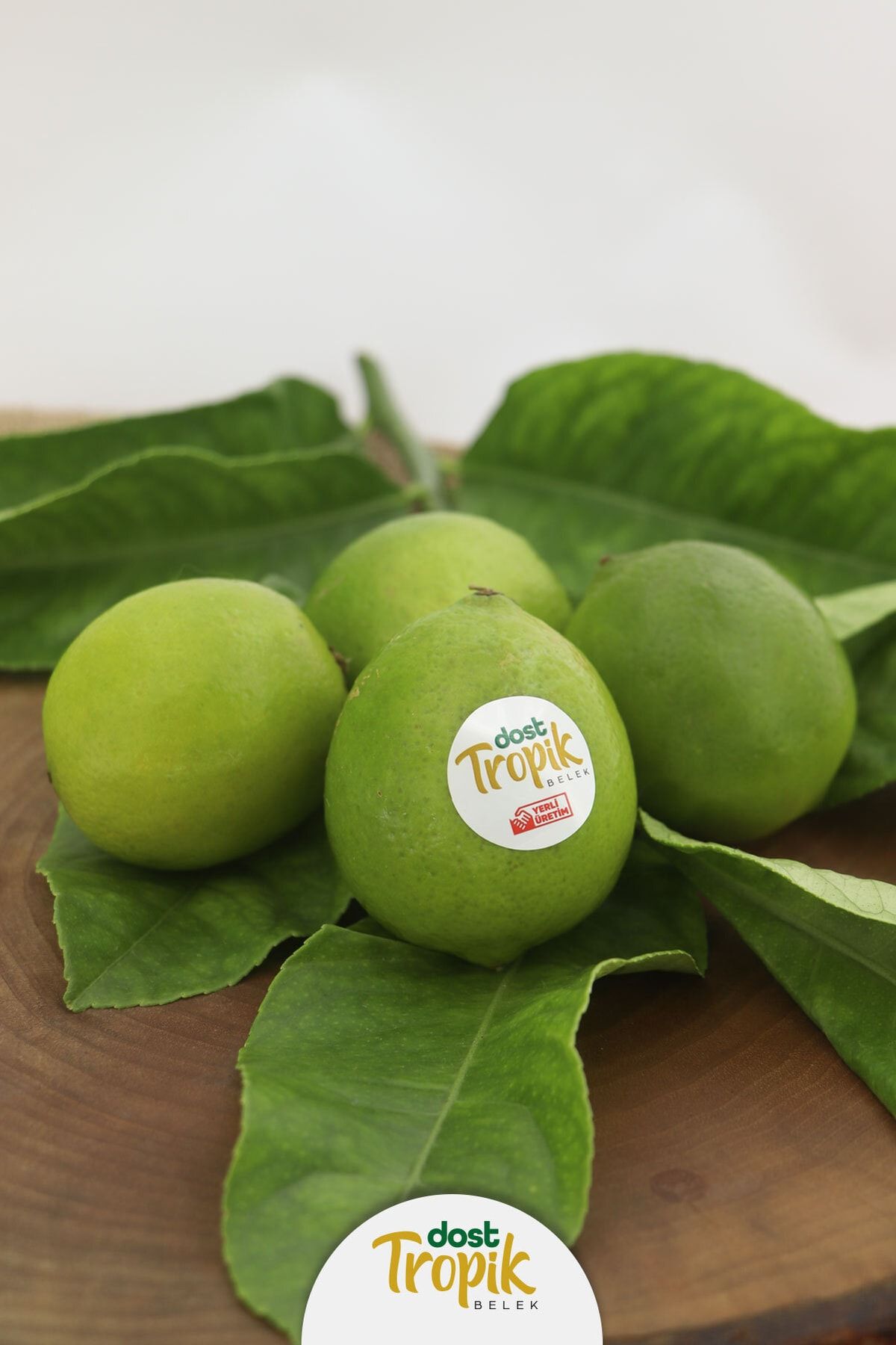 Dost Tropik Belek | Lime Limonu - Tahiti Lime (4 ADET)
