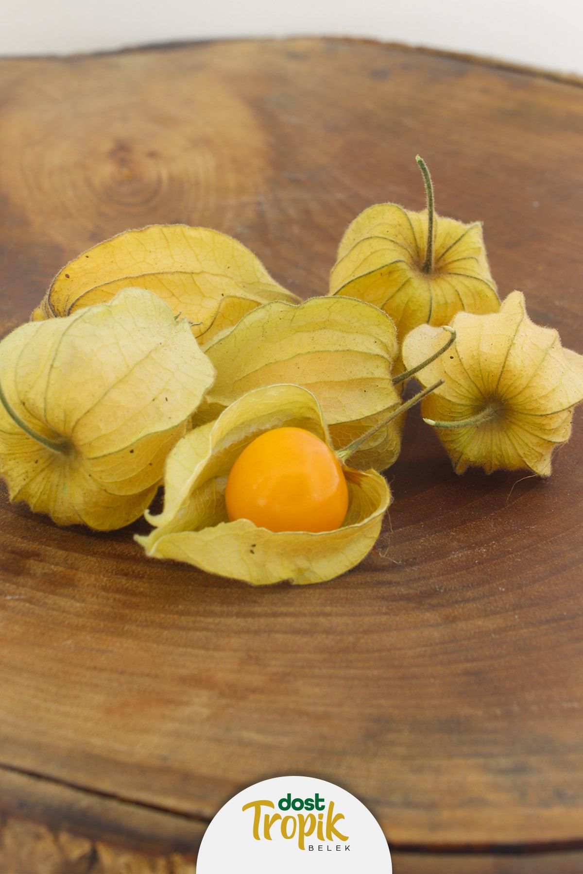 Dost Tropik Belek Altın Çilek Meyvesi - Physalis - Golden Berry (500 Gram)