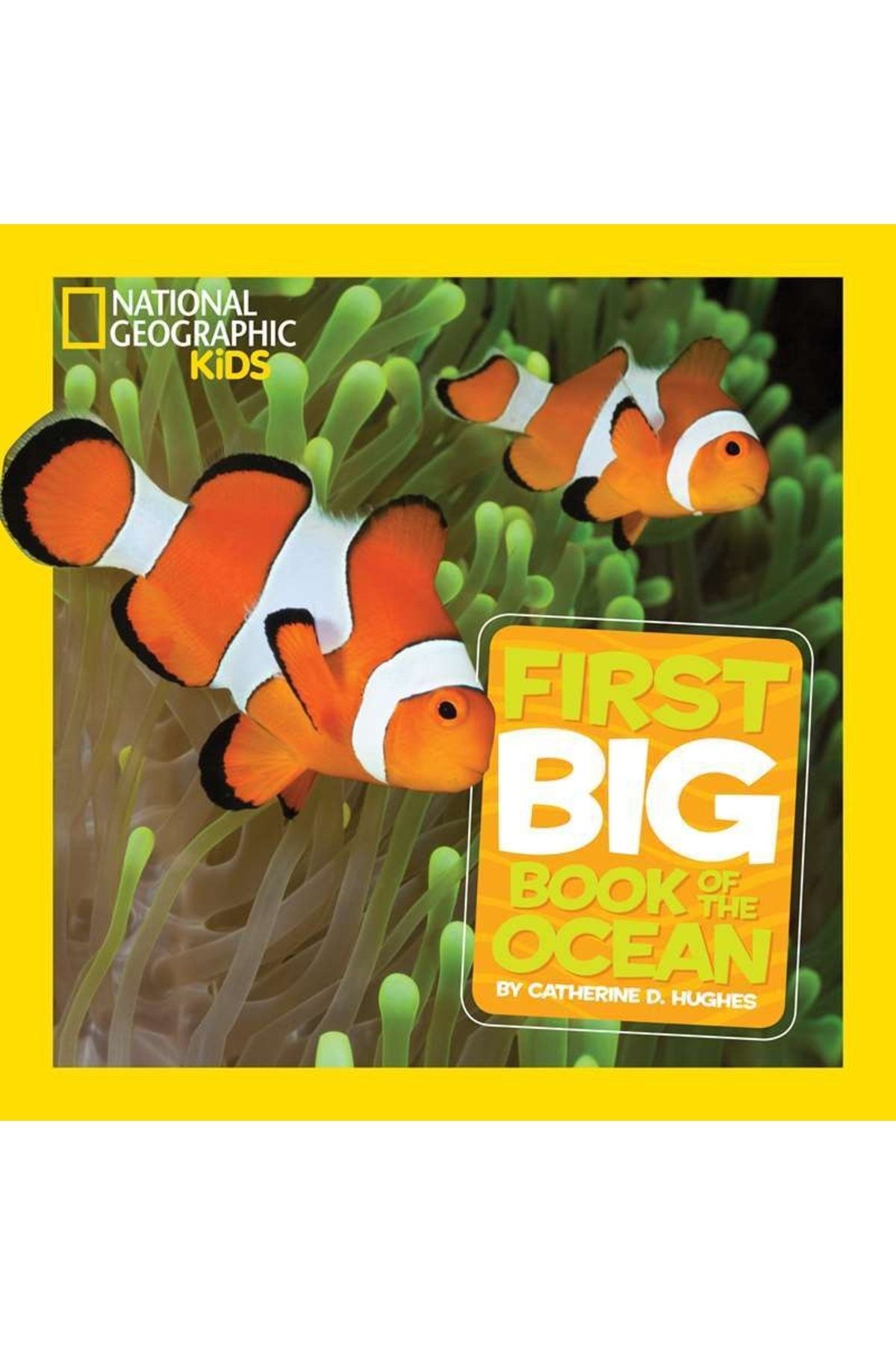 National Geographic Children's Books USA National Geographic Little Kids First Big Book Of The Ocean