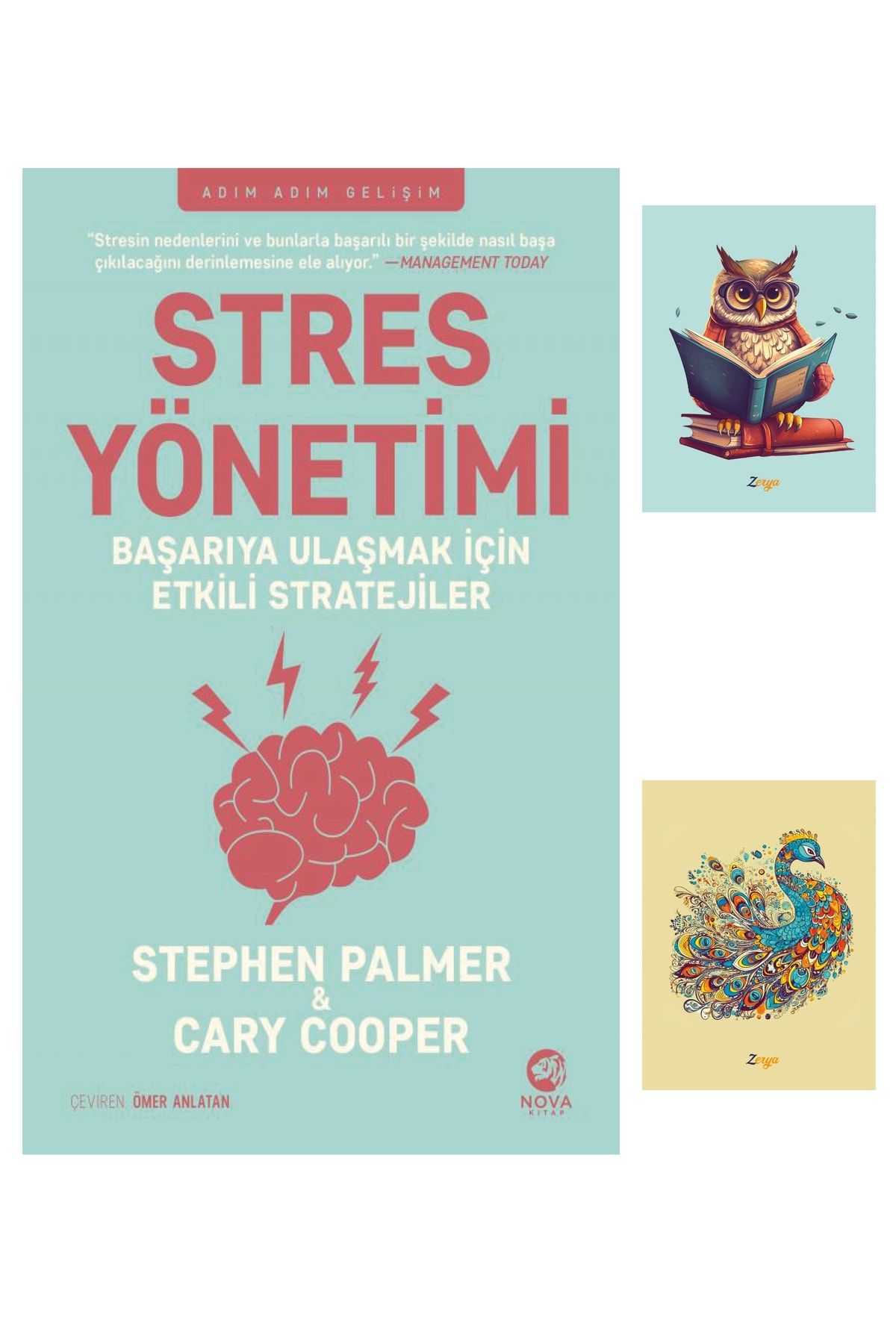 Dara Yayınları Stres Yönetimi: Başarıya Ulaşmak Için Etkili Stratejiler - Stephen Palmer - Not Defterli Seti