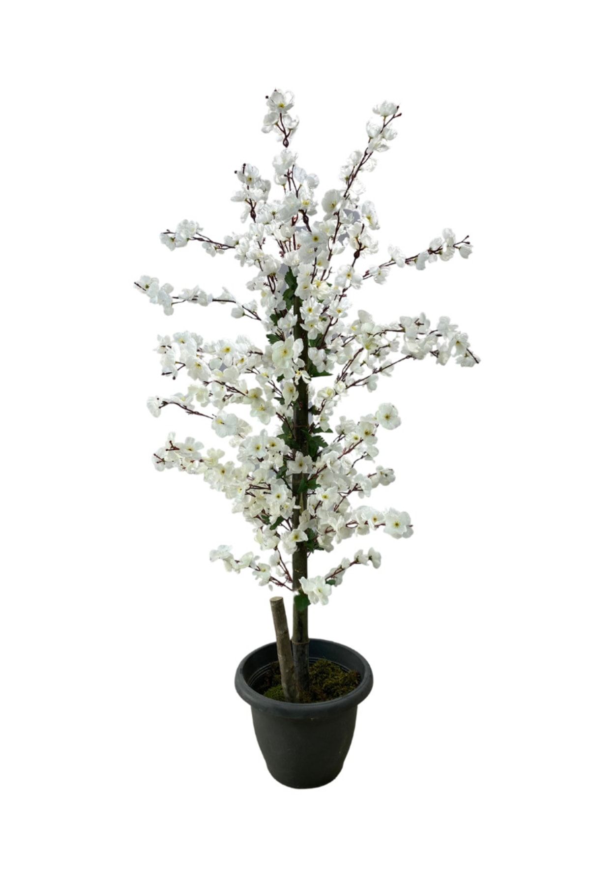 Cihan Çiçekçilik Beyaz Bahar Dalı 140 Cm Yapay Ağaç Üretim Saksısı