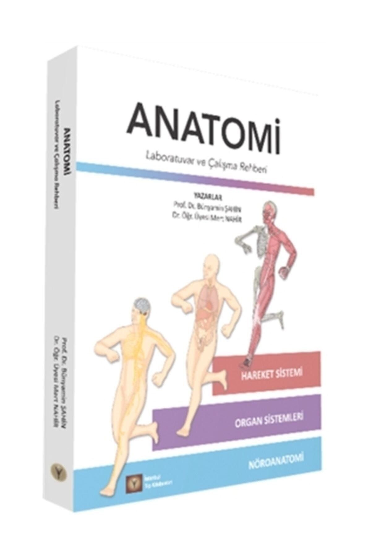 İstanbul Tıp Kitabevi Anatomi: Laboratuvar Ve Çalışma Rehberi