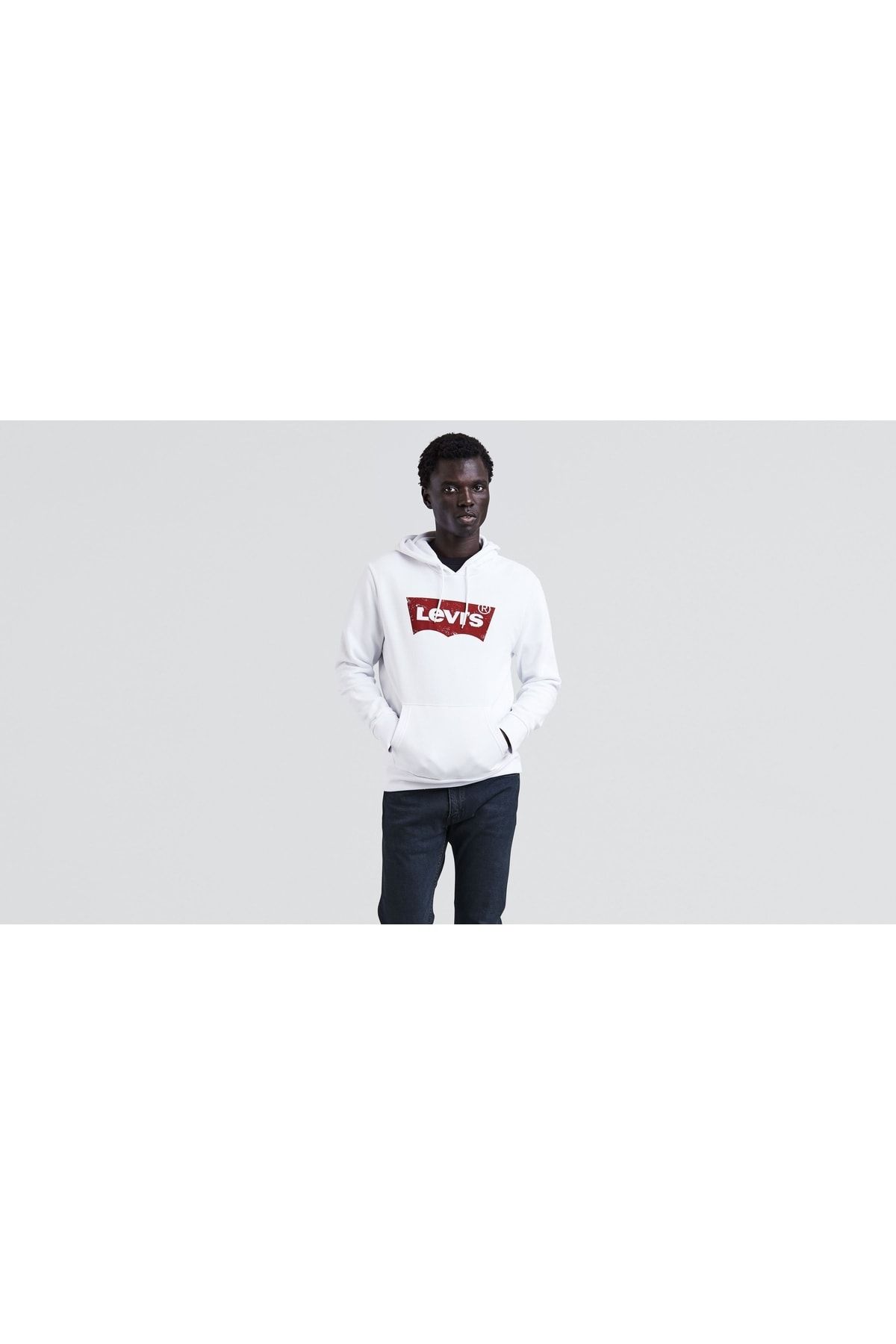 Levi's Graphic Pullover Hoodie