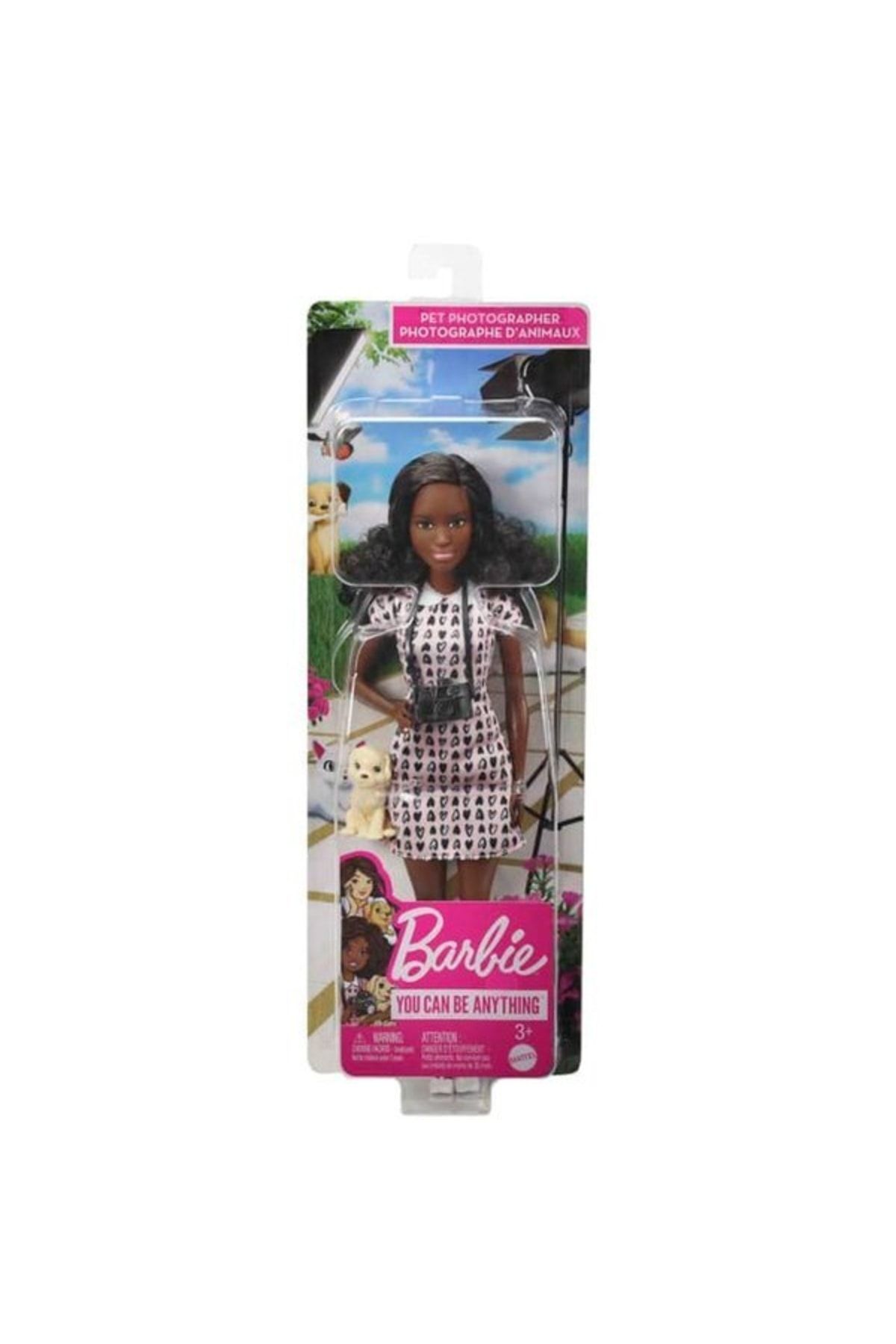 Barbie Sürpriz Kariyer Bebekleri Serisi Dvf50