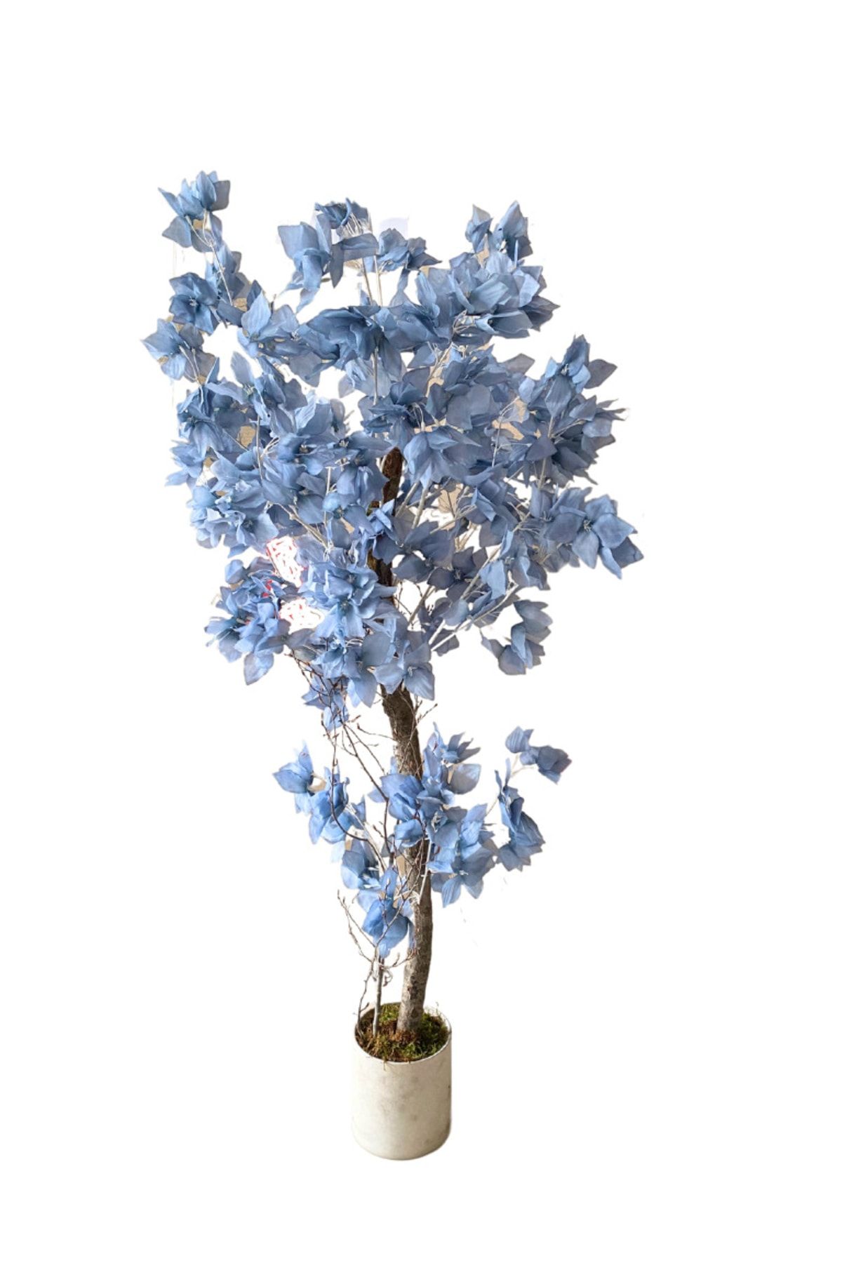 Cihan Çiçekçilik Mavi Bahar Dalı 120 Cm 12x12 Taş Saksı