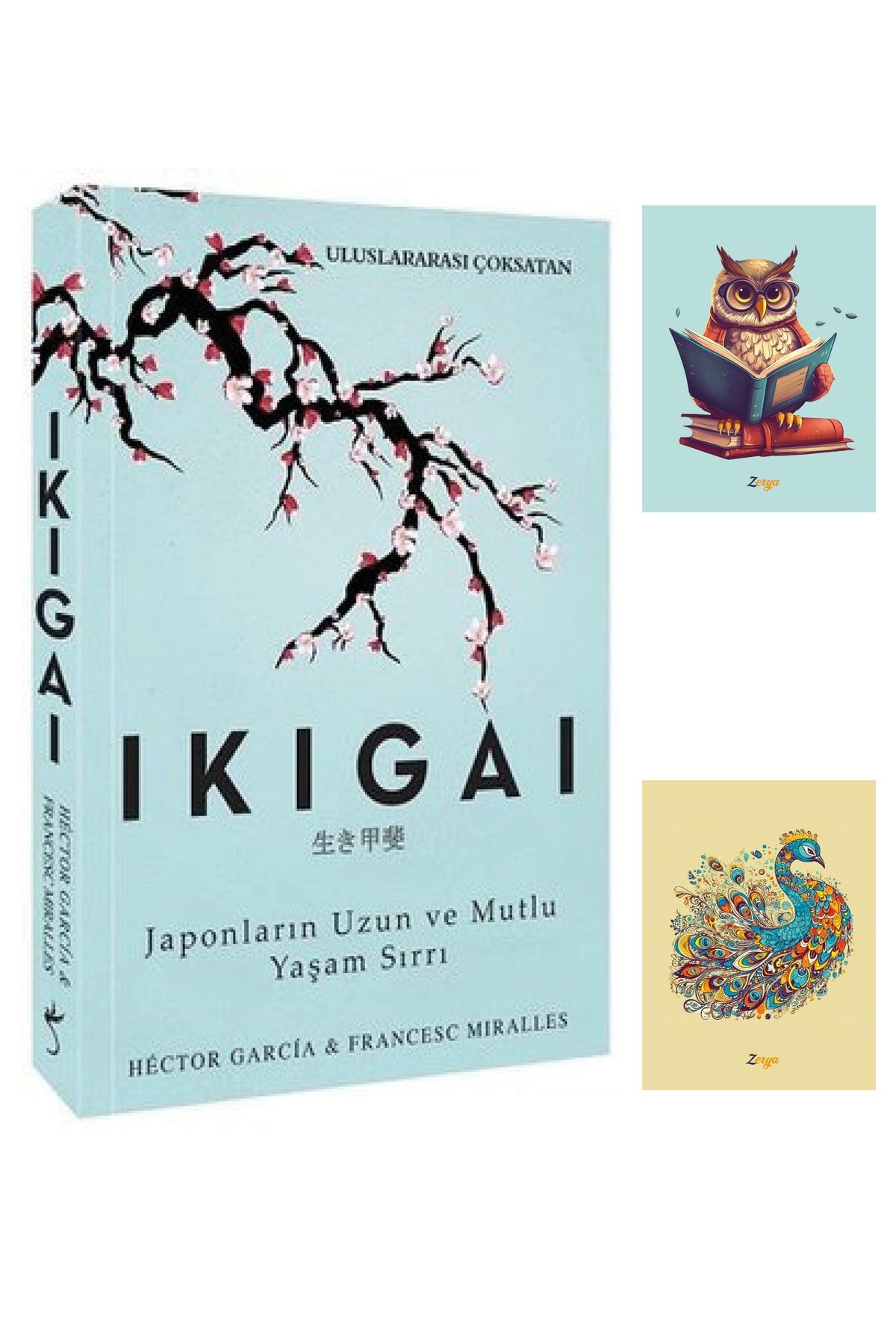 Dara Yayınları Ikigai 9786052361450 - Hector Garcia - Indigo Kitap - Not Defterli Seti