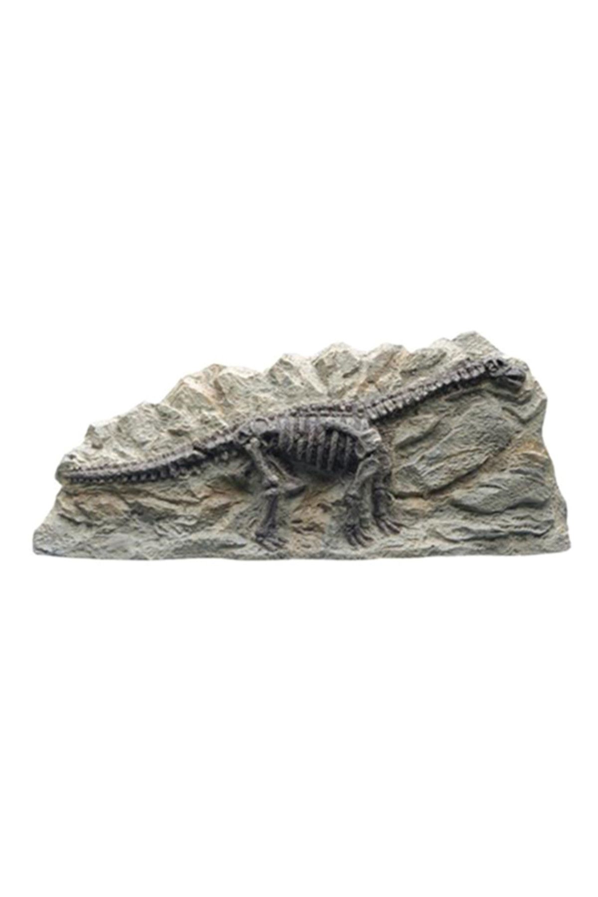 Marina Dekoratif Fosil Brontosaurus 20,3x5x8,3 cm 015561123471