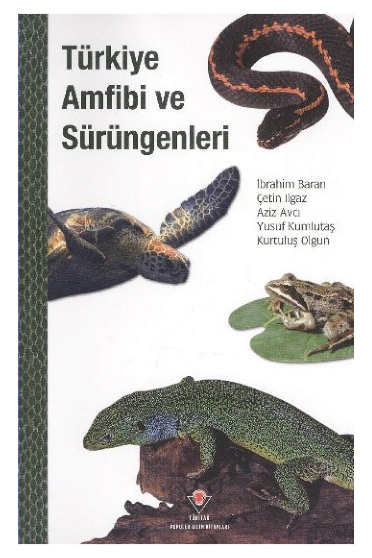 Tübitak Yayınları Türkiye Amfibi Ve Sürüngenleri / Aziz Avcı / / 9789754033564