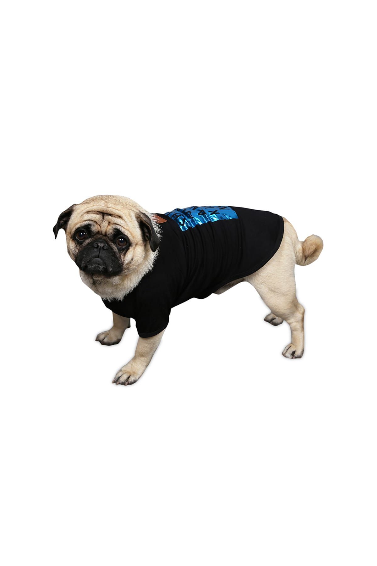 Alphadog Design Kıss Black Köpek T-shirt