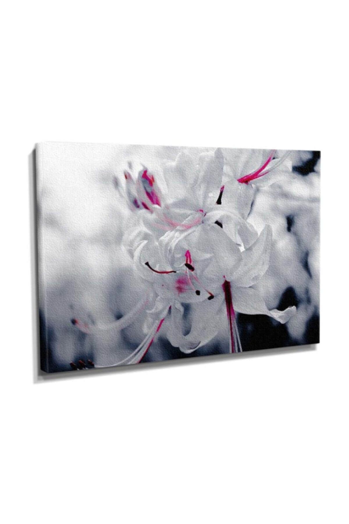 Dekor Sevgisi Beyaz Çiçek Tablosu 45x30 DTC145301385