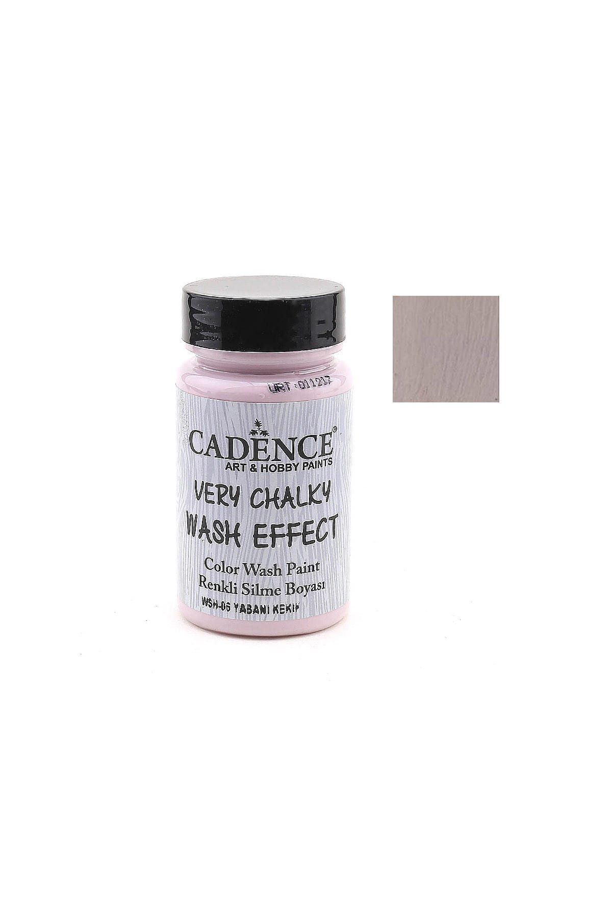 Cadence Wash Effect Renkli Silme Boyası 90ml  - WSH-06 Yabani Kekik