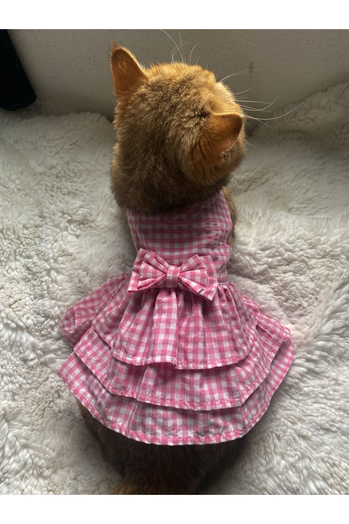 leonapetstore Bonita Pembe Kedi Köpek Kıyafeti Elbisesi (cırt Cırtlıdır)