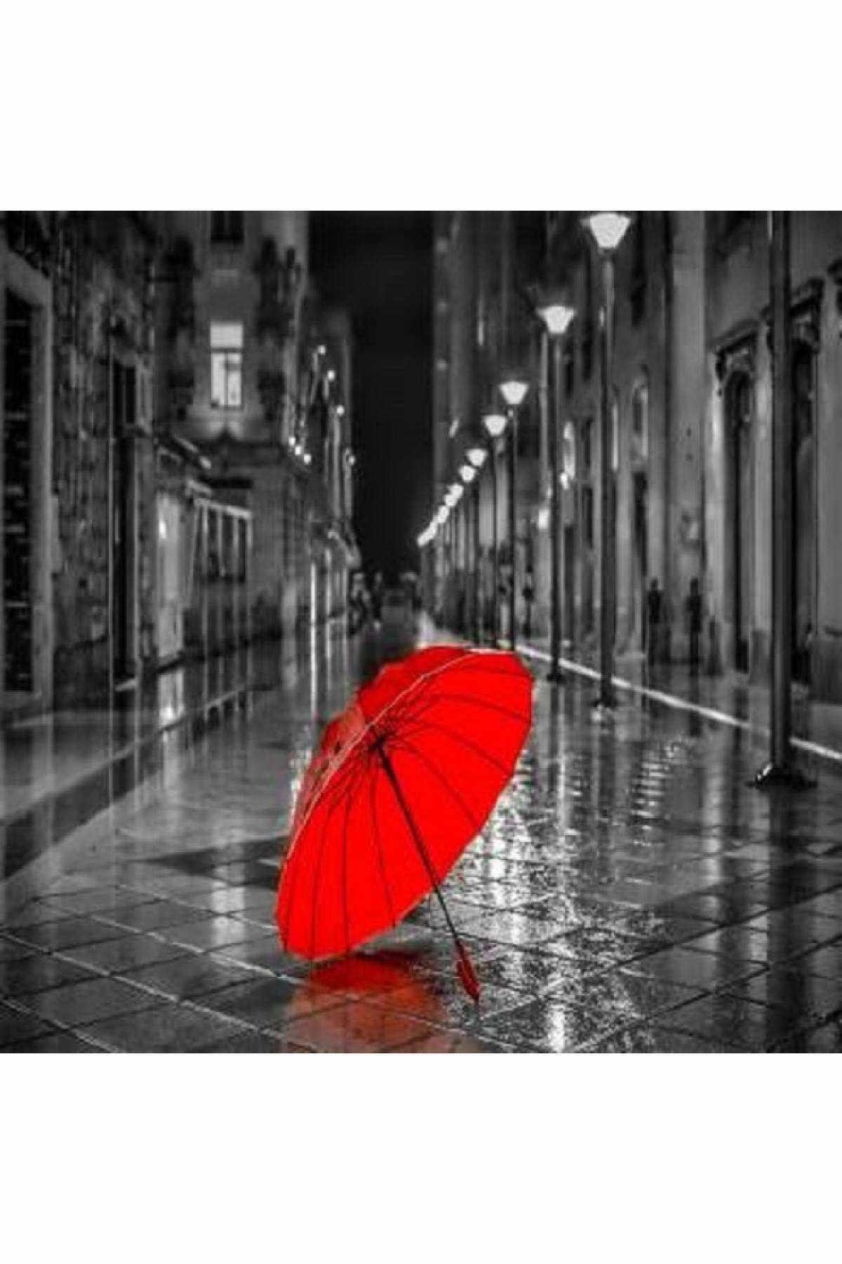 Genel Markalar Canvas Gri Sokaklar Ve Kırmızı Şemsiye Sayılarla Boyama Seti Kasnaklı 100 X 140 Cm