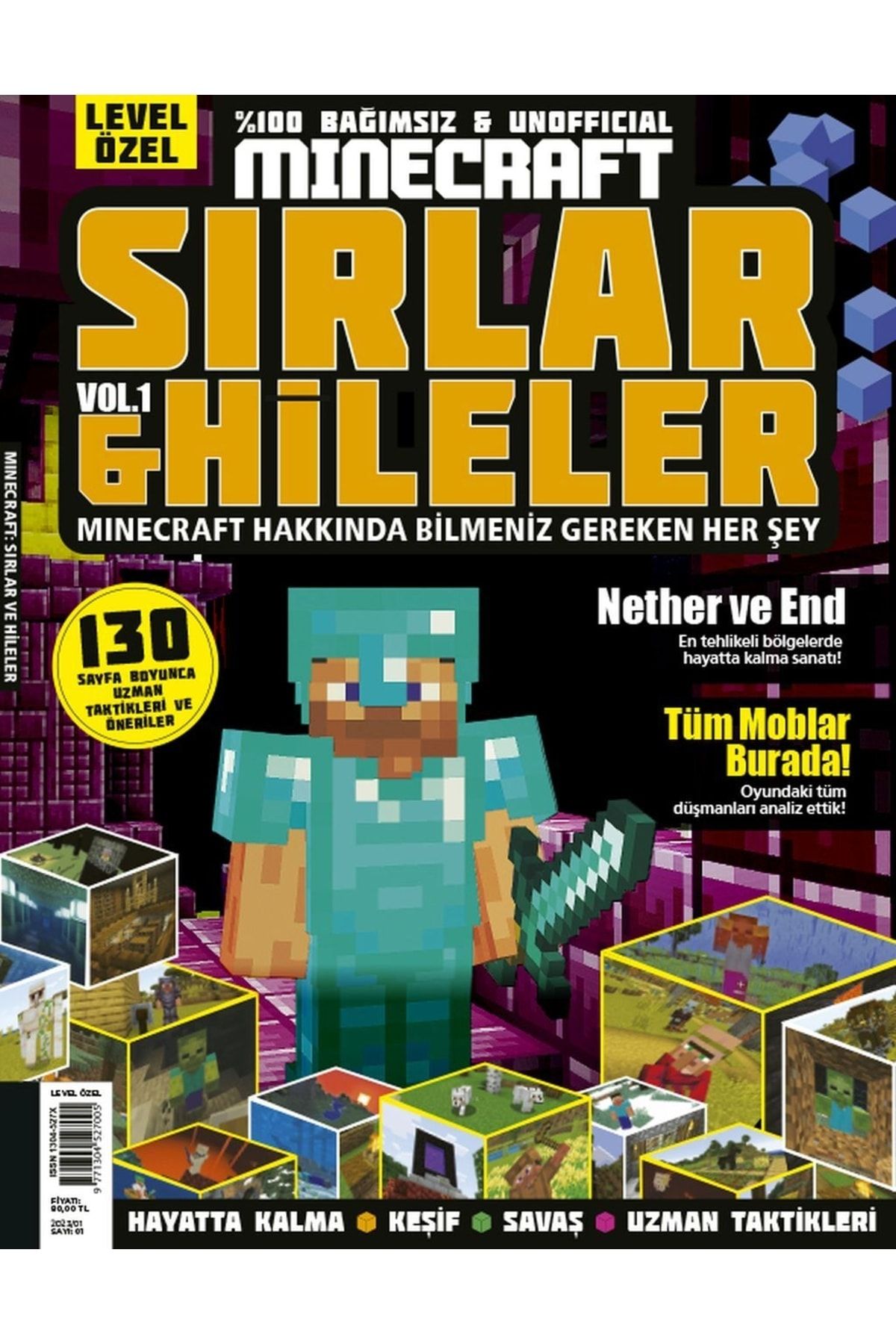 Doğan Burda Dergi Yayıncılık Minecraft