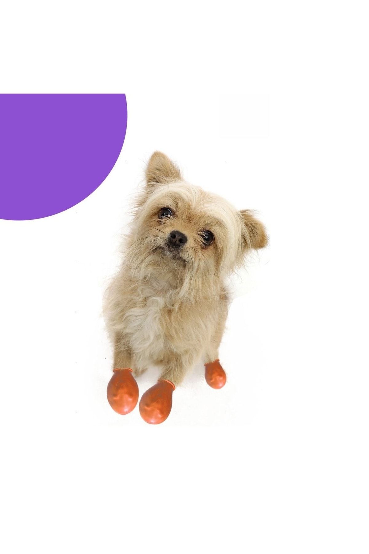 Alphadog Design Walkies Köpek Ayakkabısı Galoş Patik Su Geçirmez 6 Adet