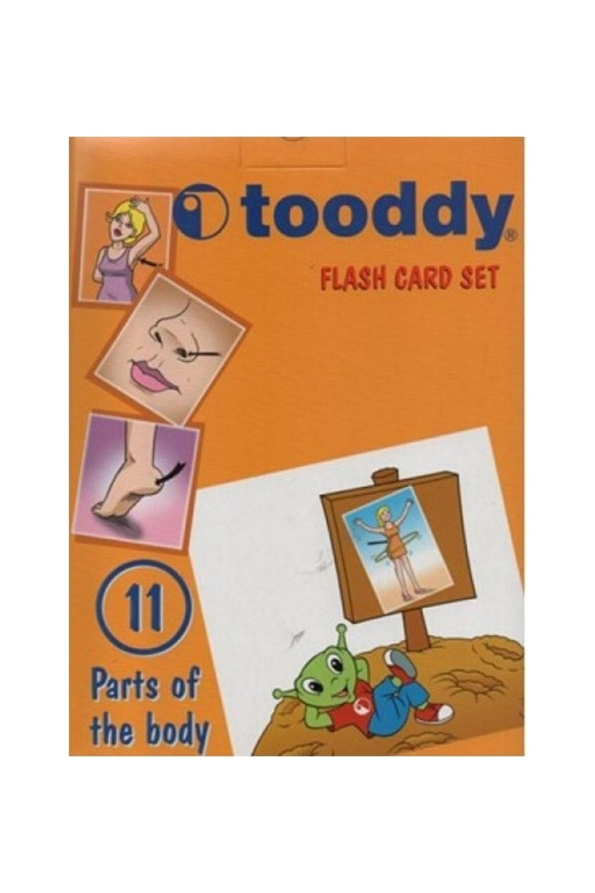 Tudem Yayınları Toddy Flash Card Set-parts Of The Body-40 Kart