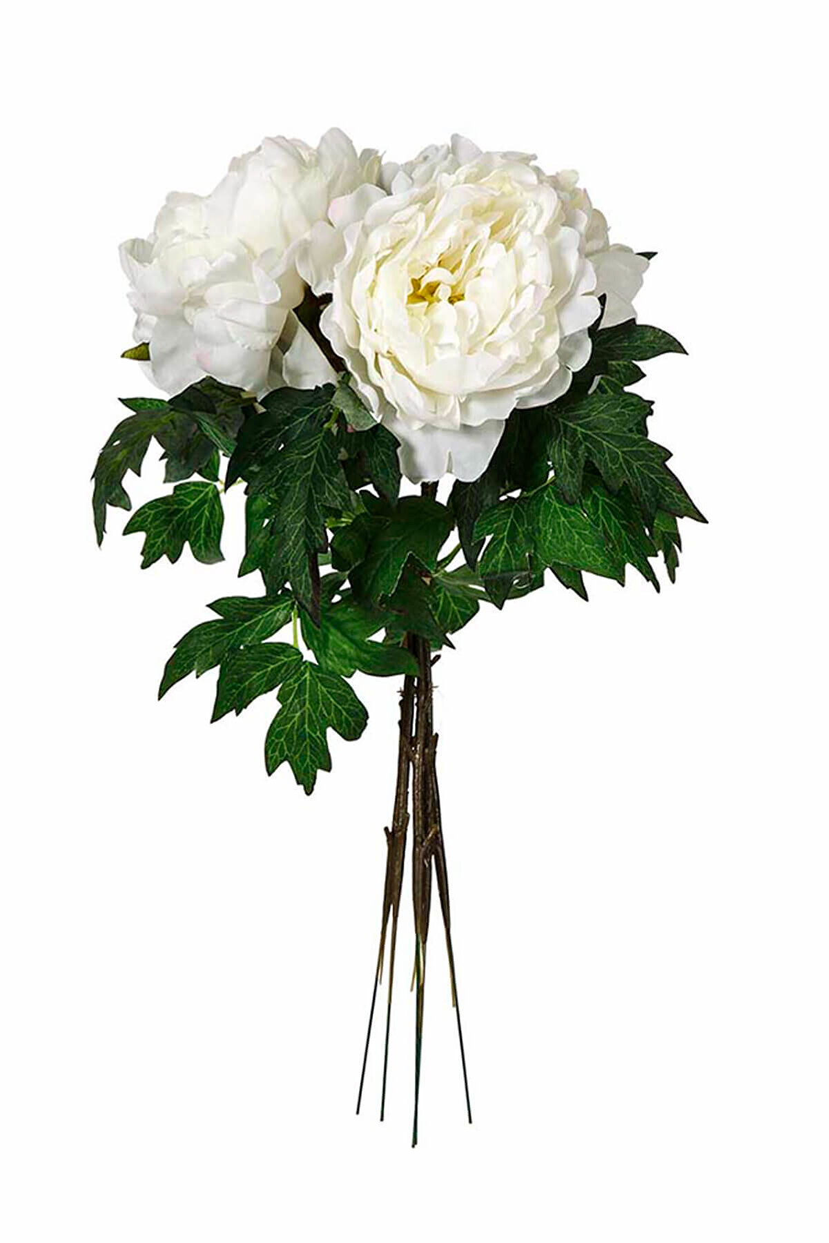 Vitale Şakayık Çiçeği Beyaz AK.BG0157-B