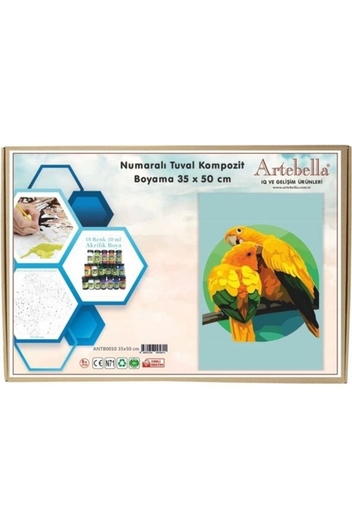 Artebella 35x50 Numaralı Kompozit Tuval Boyama Papağan Ant00010