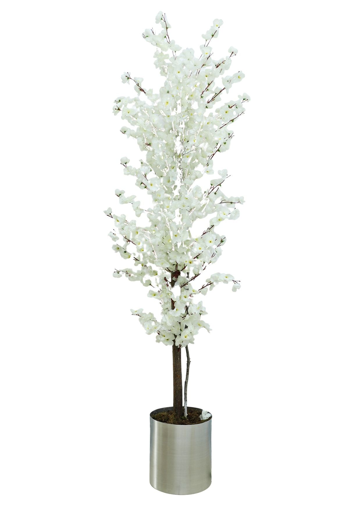 Cihan Çiçekçilik Beyaz Bahar Dalı 140 Cm Yapay Ağaç 20x20 Metal Saksı