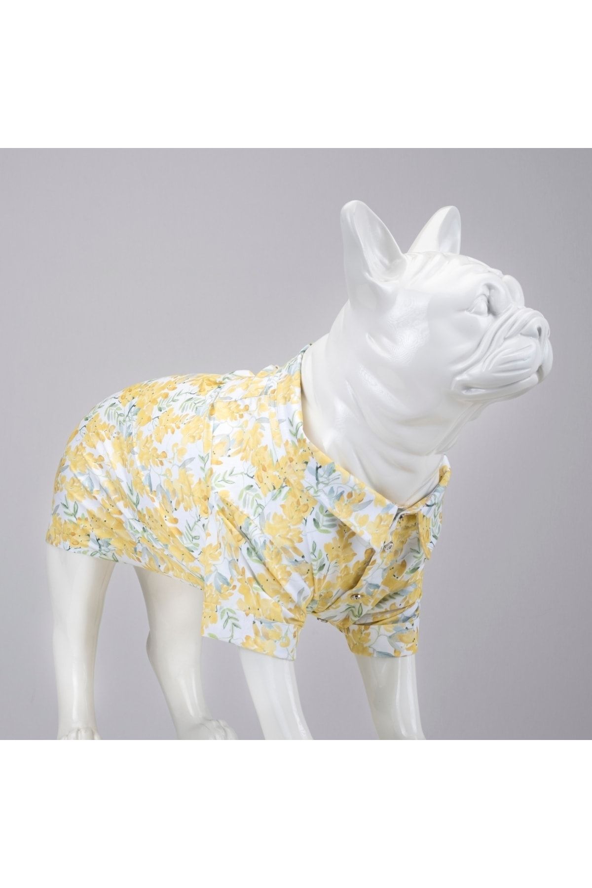 Lindodogs Spring Küçük Ve Orta Irk Köpek Gömleği