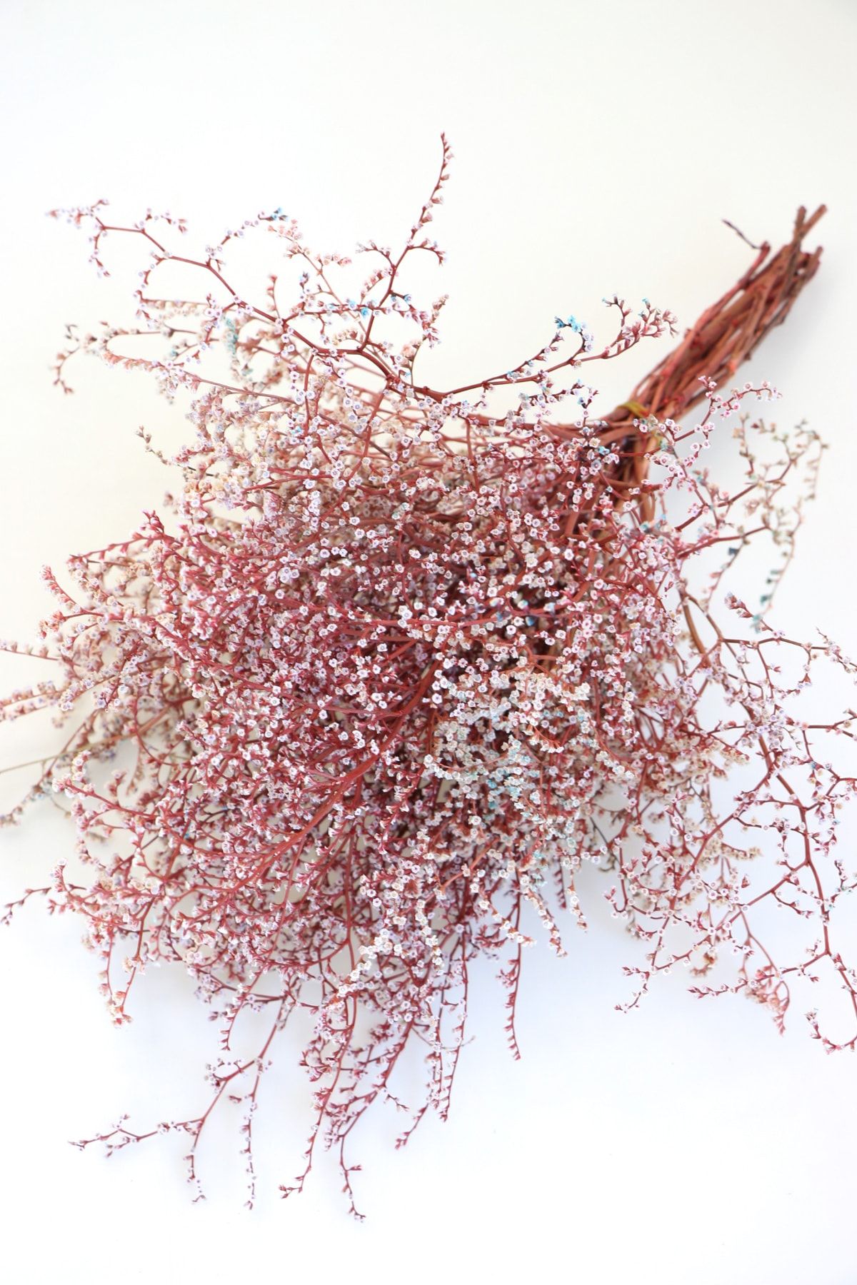 Yapay Çiçek Deposu Kırmızı Şoklanmış Deniz Otu Demeti 80 gr