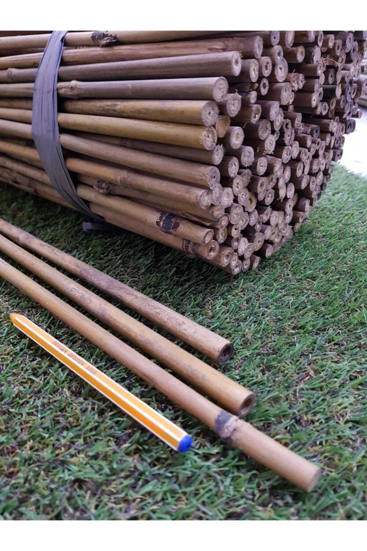 Ekodoğa Bambu Çubuk 30 Adet Bambu Çubuğu Bambu Çubukları Bitki Destek Çubuğu