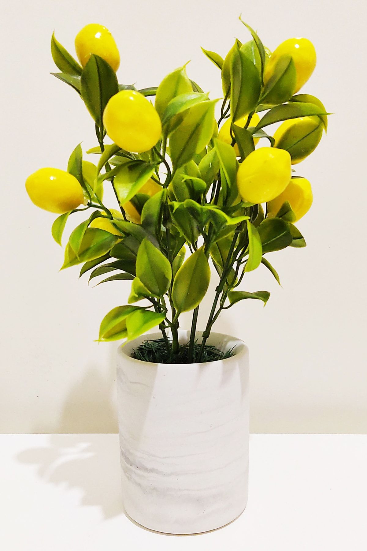 EÇiçek Beton Saksıda Mini Limon Ağacı 30 cm