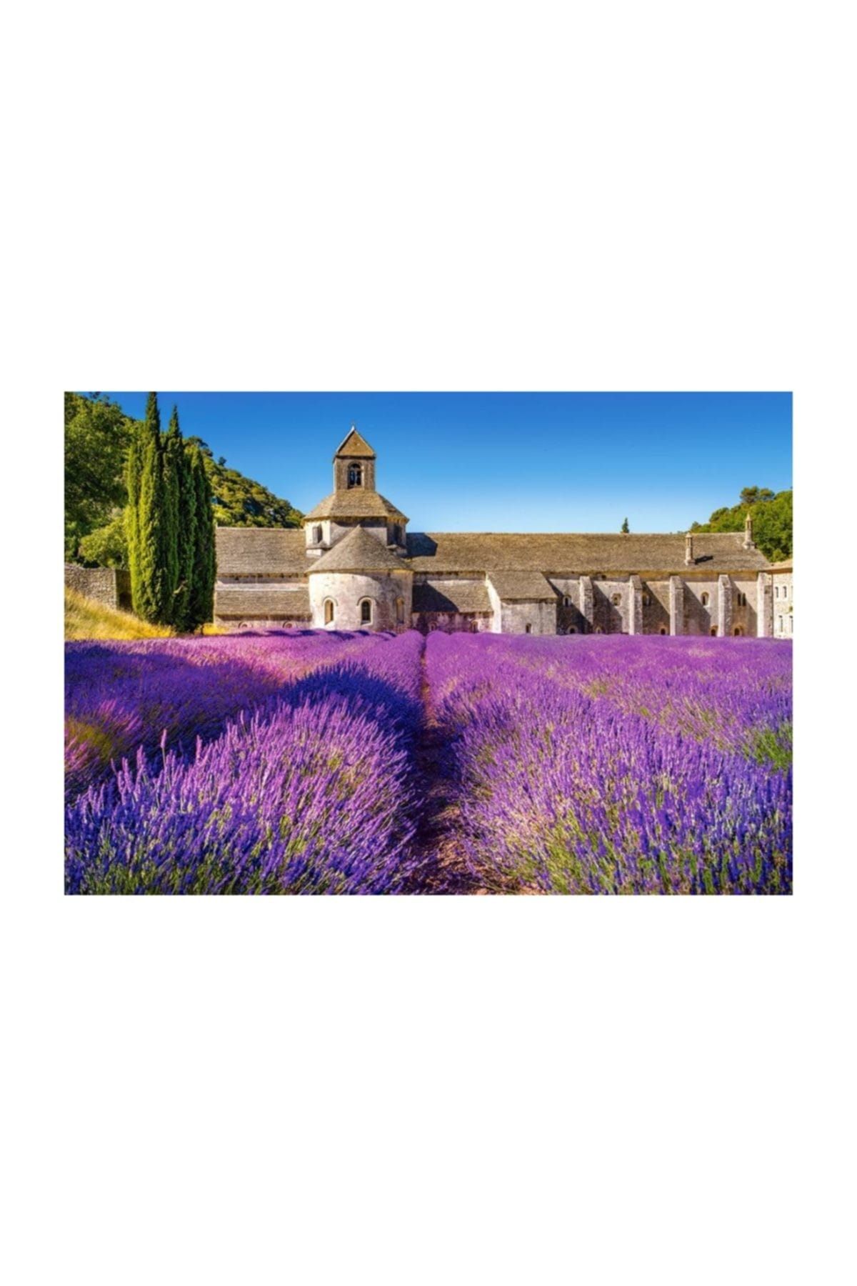 Castorland Provence'De Lavanta Tarlası 1000 Parça Puzzle /