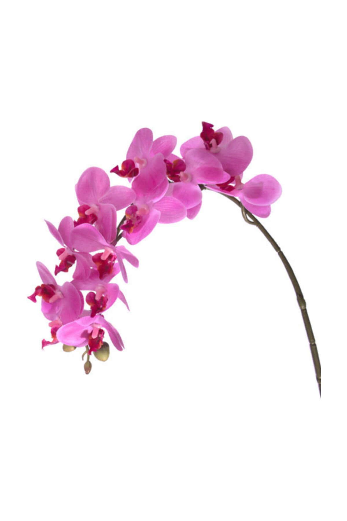 Euro Flora Yapay Çiçek Orkide 57,5 Cm