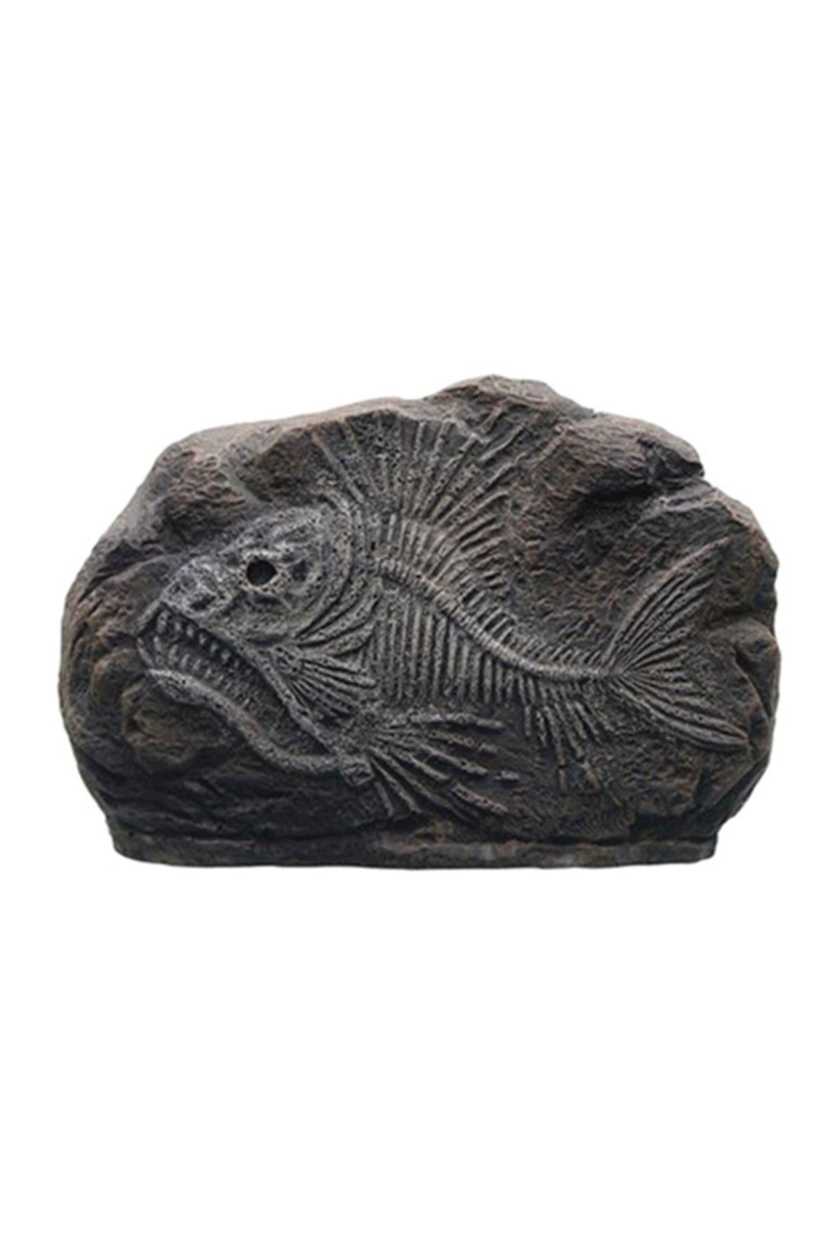 Marina Dekoratif Fosil Tiger Fish 10,2x3x7cm