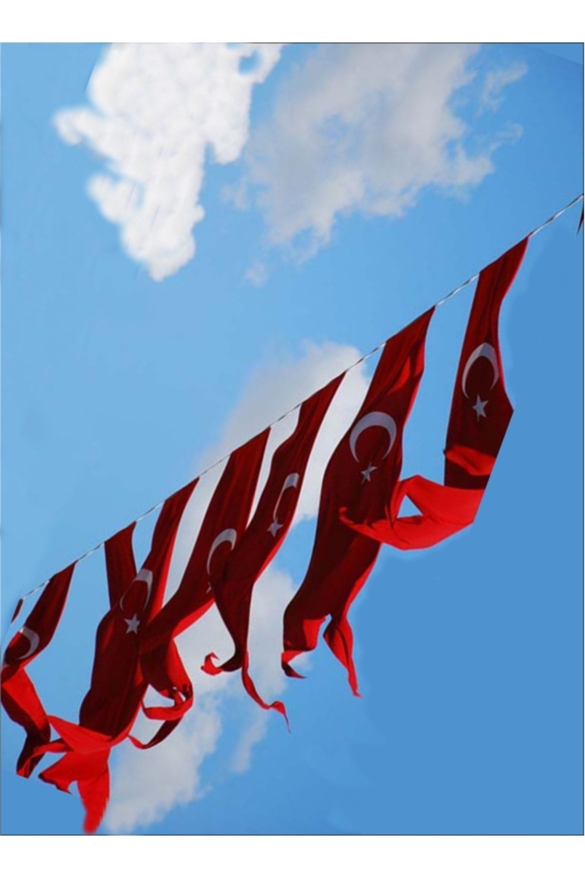 bayrakal  Dizili Kırlangıç Türk Bayrağı Raşel Kumaş 15 Ad. 12 Metre, Dizili Bayrak, Sıralı Bayrak, 50x200cm