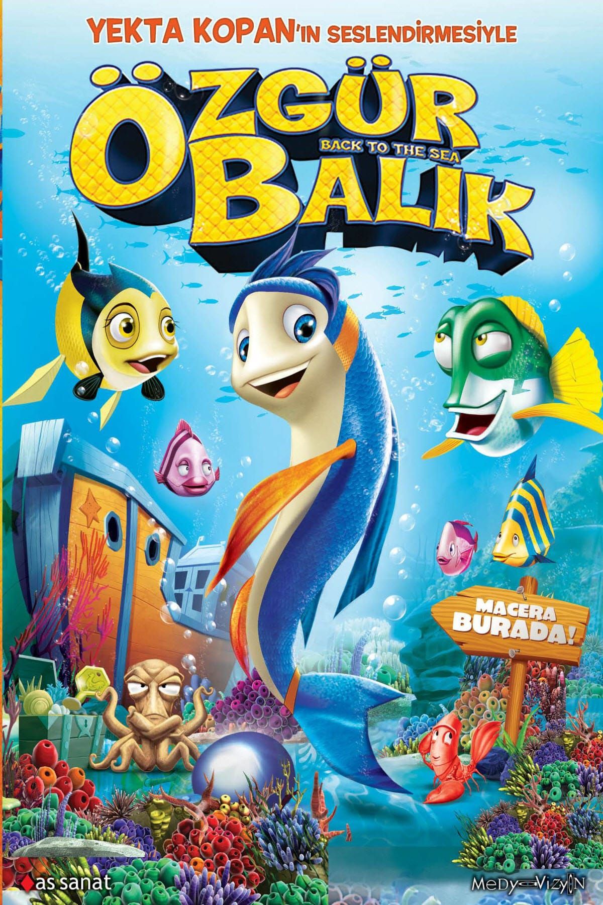 Pal DVD-Özgür Balık / Back To the sea