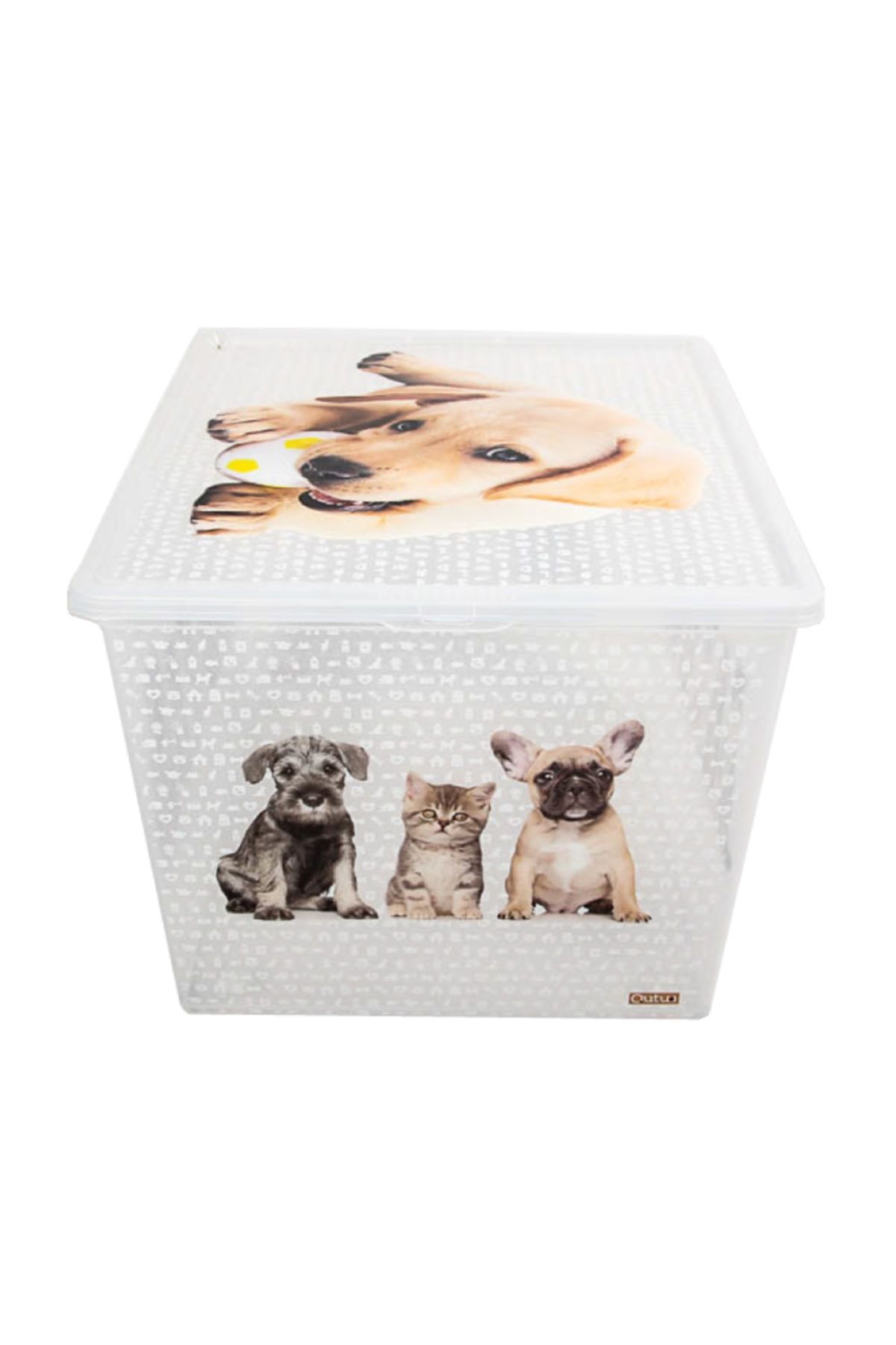 QUTU Light Box Cats And Dogs Şeffaf Dekoratif Saklama Ve Oyuncak Kutusu- 50 Litre