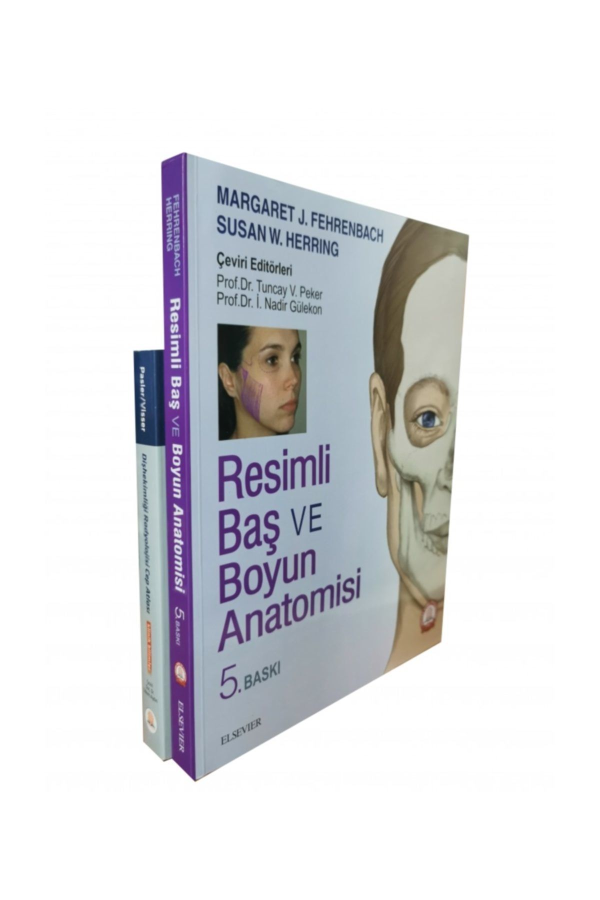 Ankara Nobel Tıp Kitapevleri Resimli Baş Ve Boyun Anatomisi